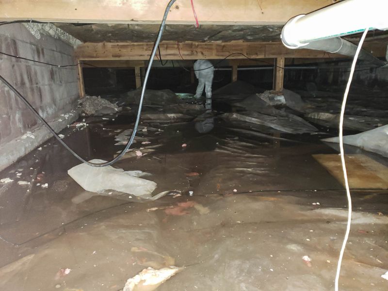 Crawlspace Before and After